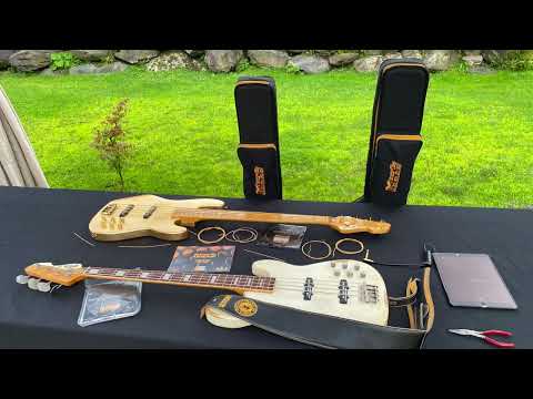 Simon "MANBASS" Daigle Gloxy LIVE