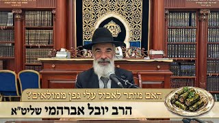 הרב יובל אברהמי שליט"א  |  האם מותר לאכול עלי גפן?