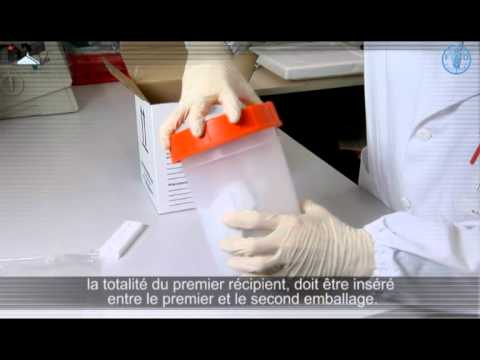 Modalités d'expédition d'échantillons suspects pour l'influenza aviaire