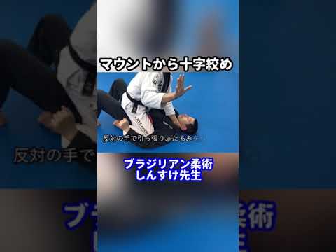 【しんすけ先生】マウントから十字絞め #shorts