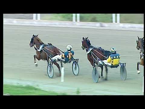 Trotto 19/01/2021 - 7ª corsa