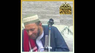 Sheikh Yasser Jalal, a man of great stature and thick beard (Mawlid of Sayyida Nafisa - may God b...