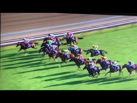 2019年【秋華賞】競馬、レース、結果