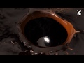 WMF FFC Fresh Filtered Coffee