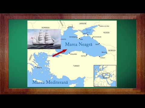 Istorie Clasa a 7-a Lectia: Congresul de la Viena si Sf.  Alianta | WinSchool