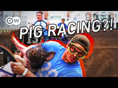 The Wildest Races From Across the Globe: From Pig Racing to Super Truck Jumping