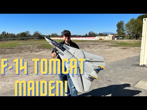 Freewing F-14 Tomcat! Twin 80mm