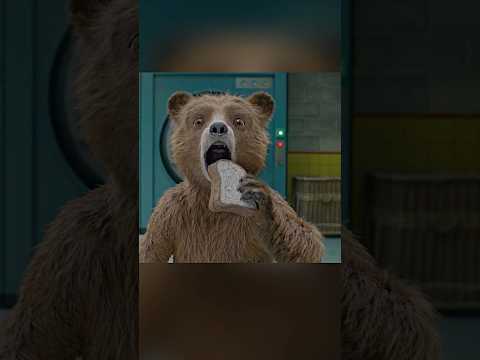 😱 Sandvișul magic care l-a transformat pe bucătar!