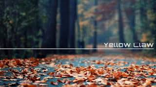 Yellow Claw - Both Of Us ft. STORi [Official Lyric Video]