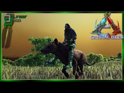 OMG, I CAN RIDE MY HYAENODON! Modded Crystal Isles 16
