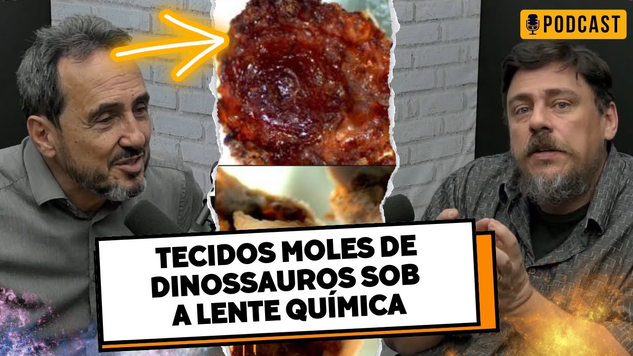A Revelação Chocante dos Tecidos Moles de Dinossauros analisados pela Química | Marcos Eberlin