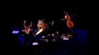 The Magnetic Fields - Your Girlfriend&#39;s Face (Live @ Royal Festival Hall, London, 25.04.12)