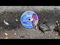 Barney Songs From The Park Dvd Destroyed
