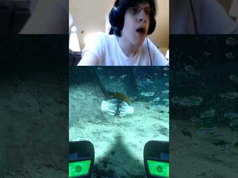 Subnautica's Lost River Is Scarier Then I Remember