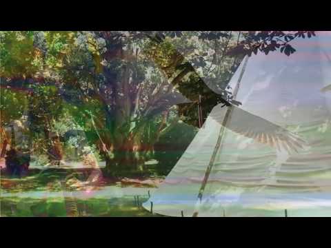 Guérison spirituelle par la musique chamanique de Loup Blanc Chaman-Yogi