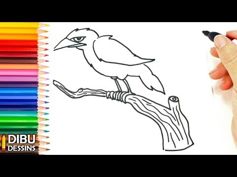 Comment dessiner un Corbeau | Dessin de Corbeau
