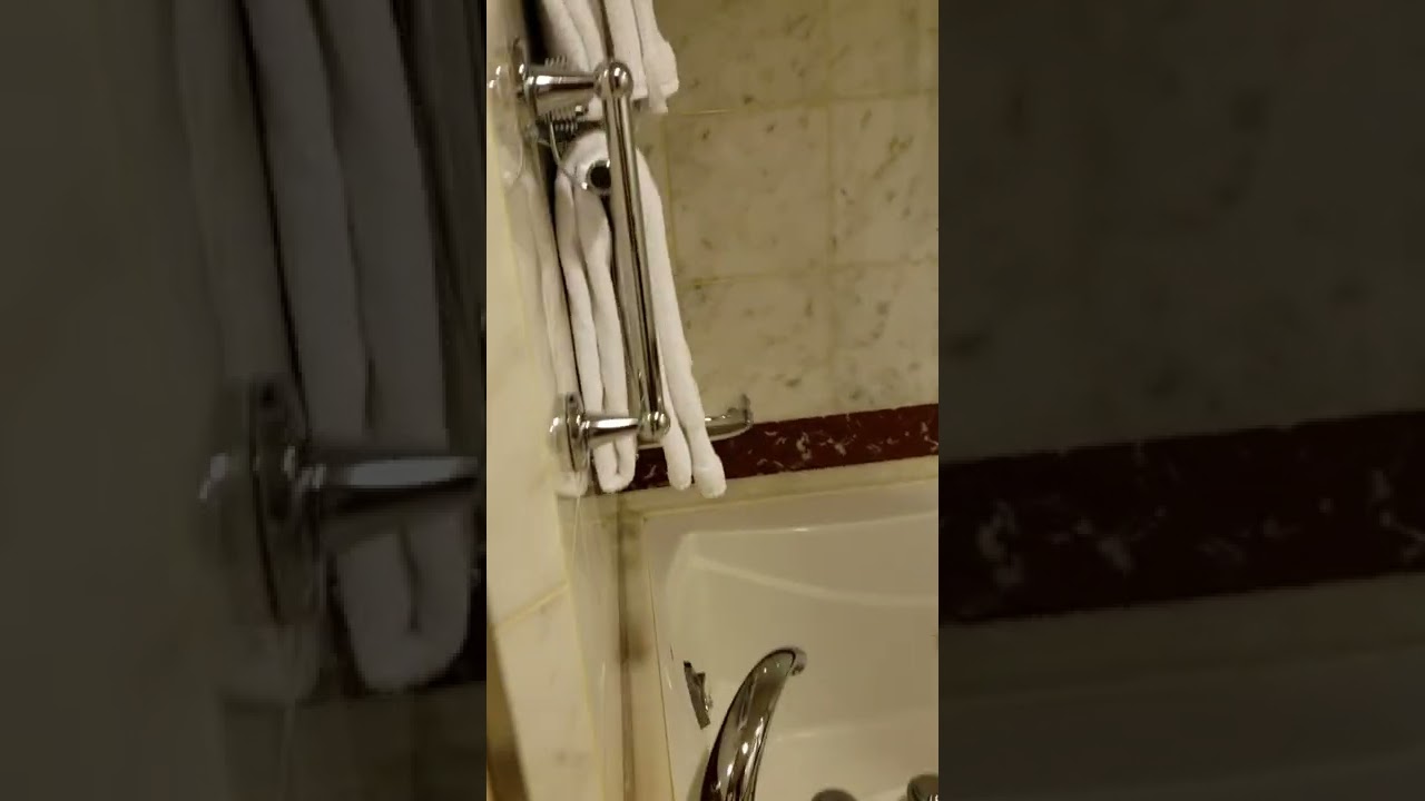 Emerald Princess - Cabin R408 - Video 2