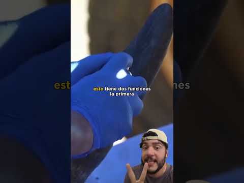 RADIOACTIVOS Rinocerontes? #shorts #short #animalfun