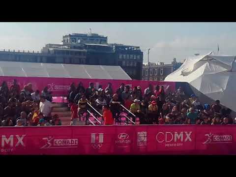 814 Sebastien Peineau vs Stephan Hansen at the 2017 World Archery Championships