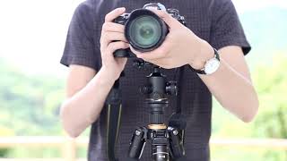 Beike / QZSD Q222 Basic Compact Travelling Tripod With Damping Ball Head