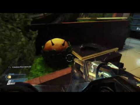 Prey-Drunk Stream (Part 2)