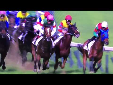 第８３回　日本ダービーGI　東京 芝 2400m 2016．5. 29　結果