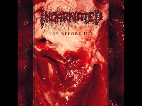 INCARNATED - Dead Eyes See Nothing