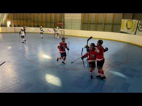 Hokejbalisti LG Bratislava hostili Skalicu