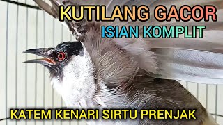Download lagu KUTILANG GACOR ISIAN KAPAS TEMBAK KENARI SIRTU PRENJAK mp3 Download lagu KUTILANG GACOR ISIAN KAPAS TEMBAK KENARI SIRTU PRENJAK mp3