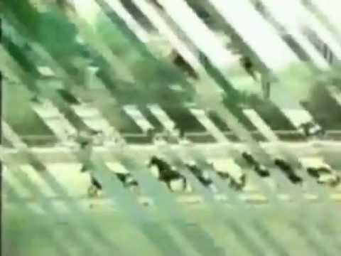 Hambletonian 1963_Speedy Scot