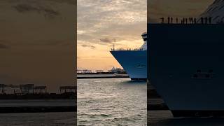 Oasis of the Seas 🛳️ #like #share #comment #subscribe #cruiseship #cruise #vacation #shorts #short