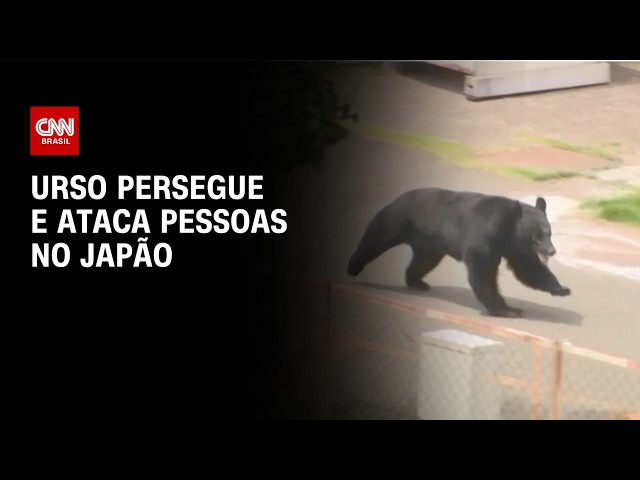 Urso persegue e ataca pessoas no Japão deixando quatro feridos | CNN NOVO DIA