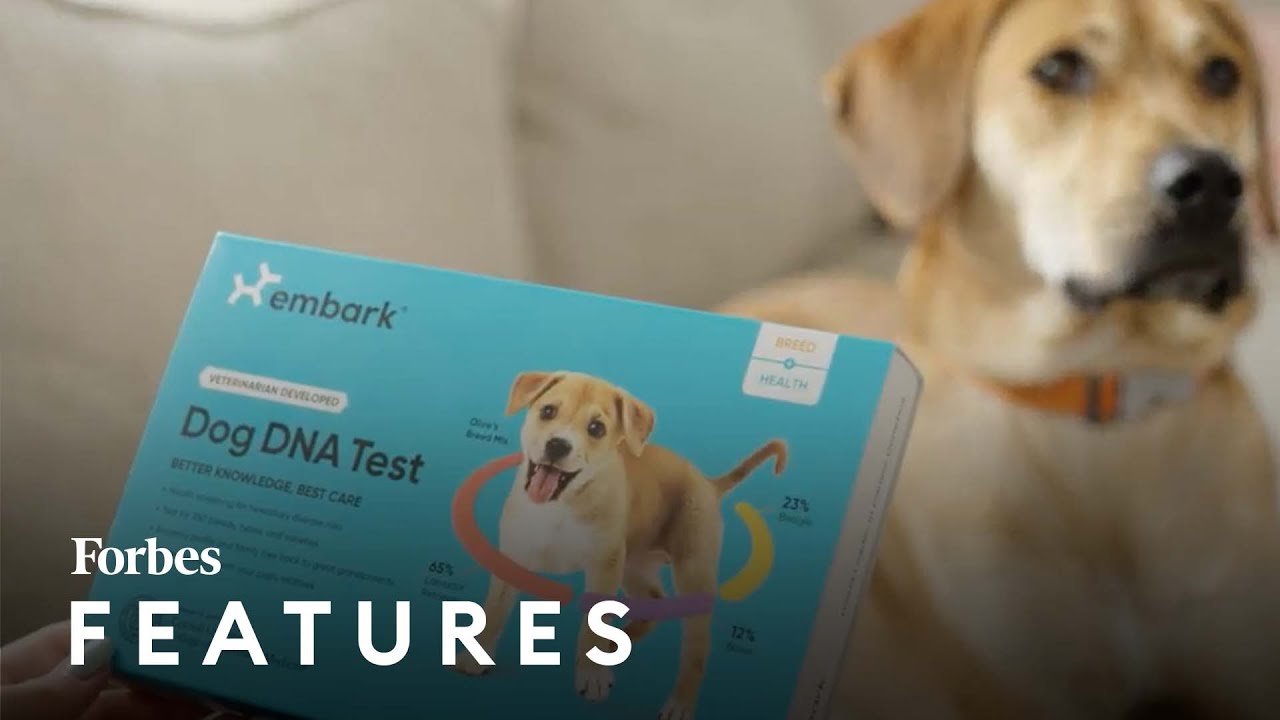 This Next Billion Dollar DNA Company Will Test Your Dog For A Healthier Life