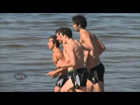 Dane Swan in the spotlight - AFL