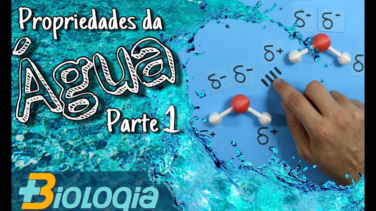 Propriedades da agua, parte 1 de 3 (solvente universal). Roger Maia em mais biologia