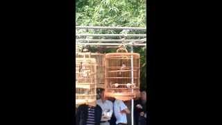 VIDEO0261