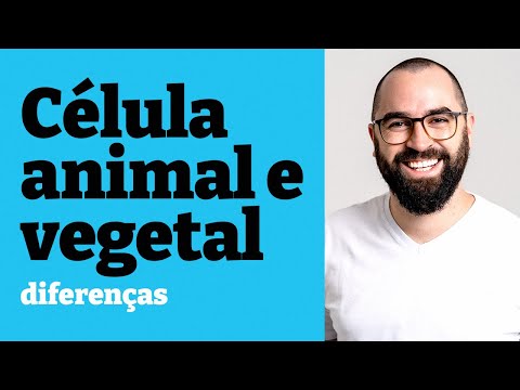 Animal and plant eukaryotic cells: differences - Class 16 - Module 1 - Prof. Guilherme