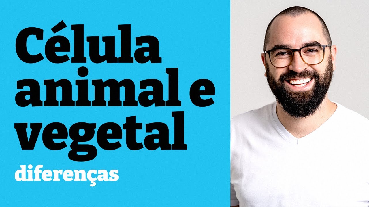 Célula eucarionte animal e vegetal: diferenças - Aula 16 - Módulo 1 - Prof. Guilherme