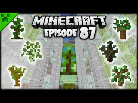 FINISHING The Minecraft Tree Farm! | Python's World (Minecraft Survival Let's Play) | Episode 87