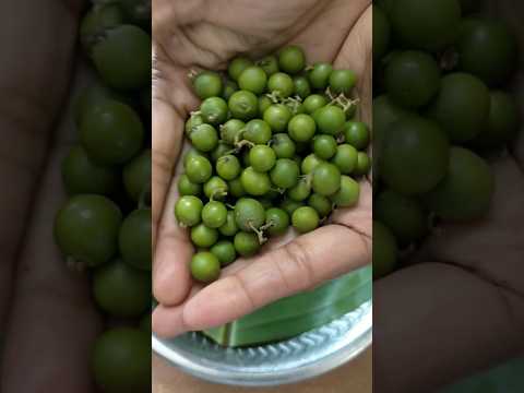 can you guess this fruit name?  #shorts #ytshorts #youtubeshorts #trendingshorts #viral videos