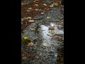 Please don't stop the rain - James Morrison 