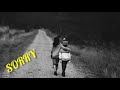 Sorry By Akon WhatsApp Status Sorry Status