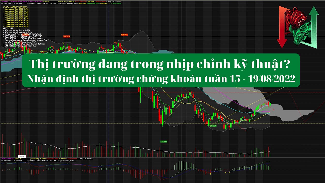 Thị trường đang trong nhịp chỉnh kỹ thuật? Nhận định thị trường chứng khoán tuần 15 - 19/08/2022