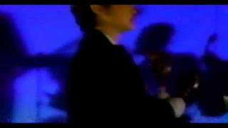 Shadowy Men On A Shadowy Planet - They Don't Call Them Chihuahua's Anymore