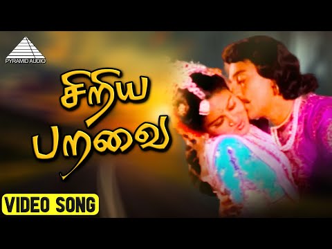 சிறிய பறவை HD Video Song | அந்த ஒரு நிமிடம் | கமல்ஹாசன் | ஊர்வசி | இளையராஜா