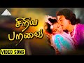 சிறிய பறவை HD Video Song அந்த ஒரு நிமிடம் கமல்