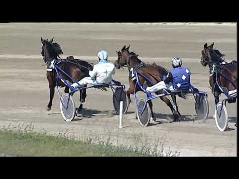Napoli Trotto 07/04/2023 - 3ª corsa
