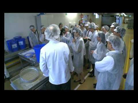 Visita à fábrica de chocolate GODIVA Visite a fábrica de energia Song Emperor Bon Skilled