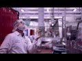 Ben and Jerrys: Peace, Love and Ice Cream - YouTube