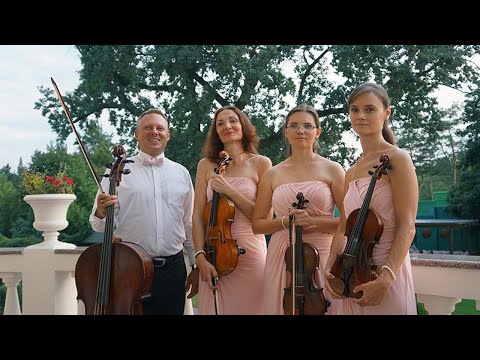 Zefir String Quartet, відео 8